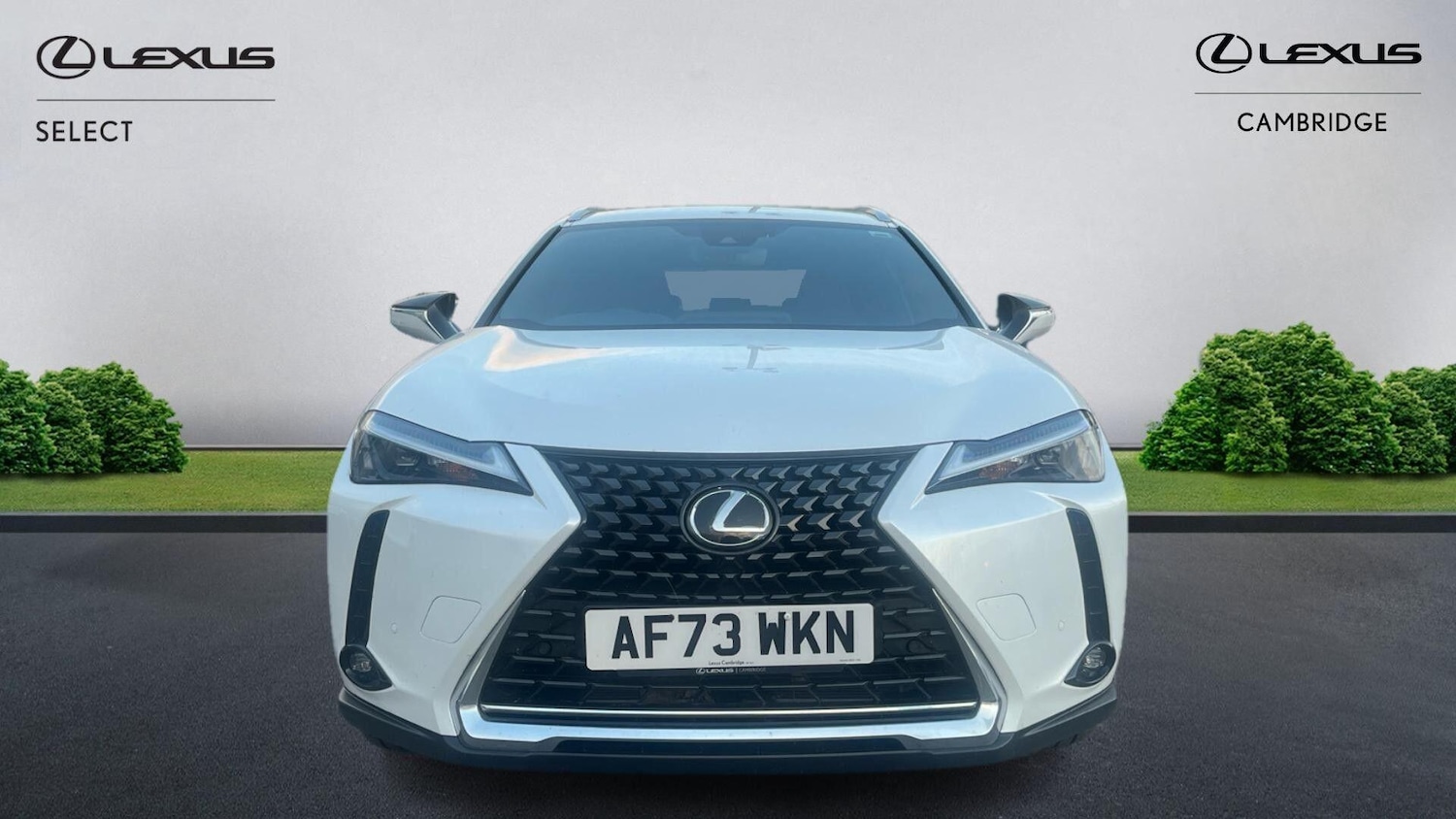 Used Lexus UX 2023 for sale - 76561671: Photo 7