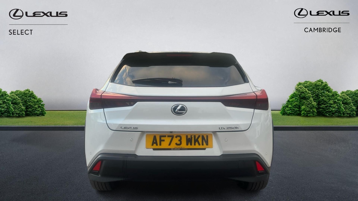 Used Lexus UX 2023 for sale - 76561671: Photo 8