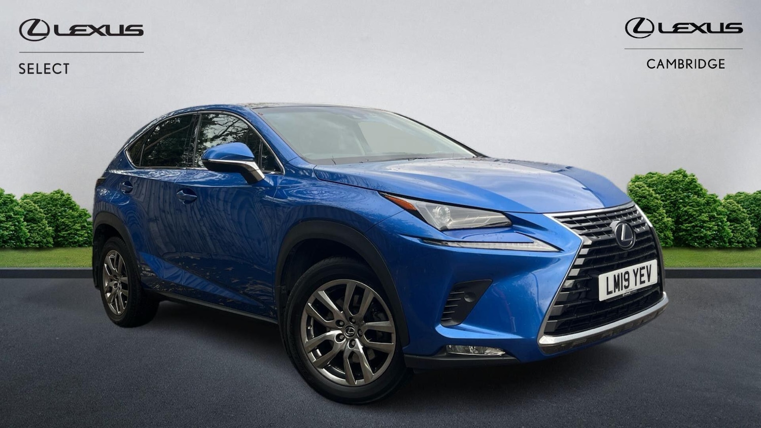 Used Lexus NX 2019 for sale - 76472092: Photo 1