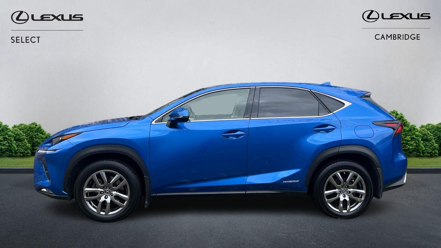 Used Lexus NX 2019 for sale - 76472092: Photo 3