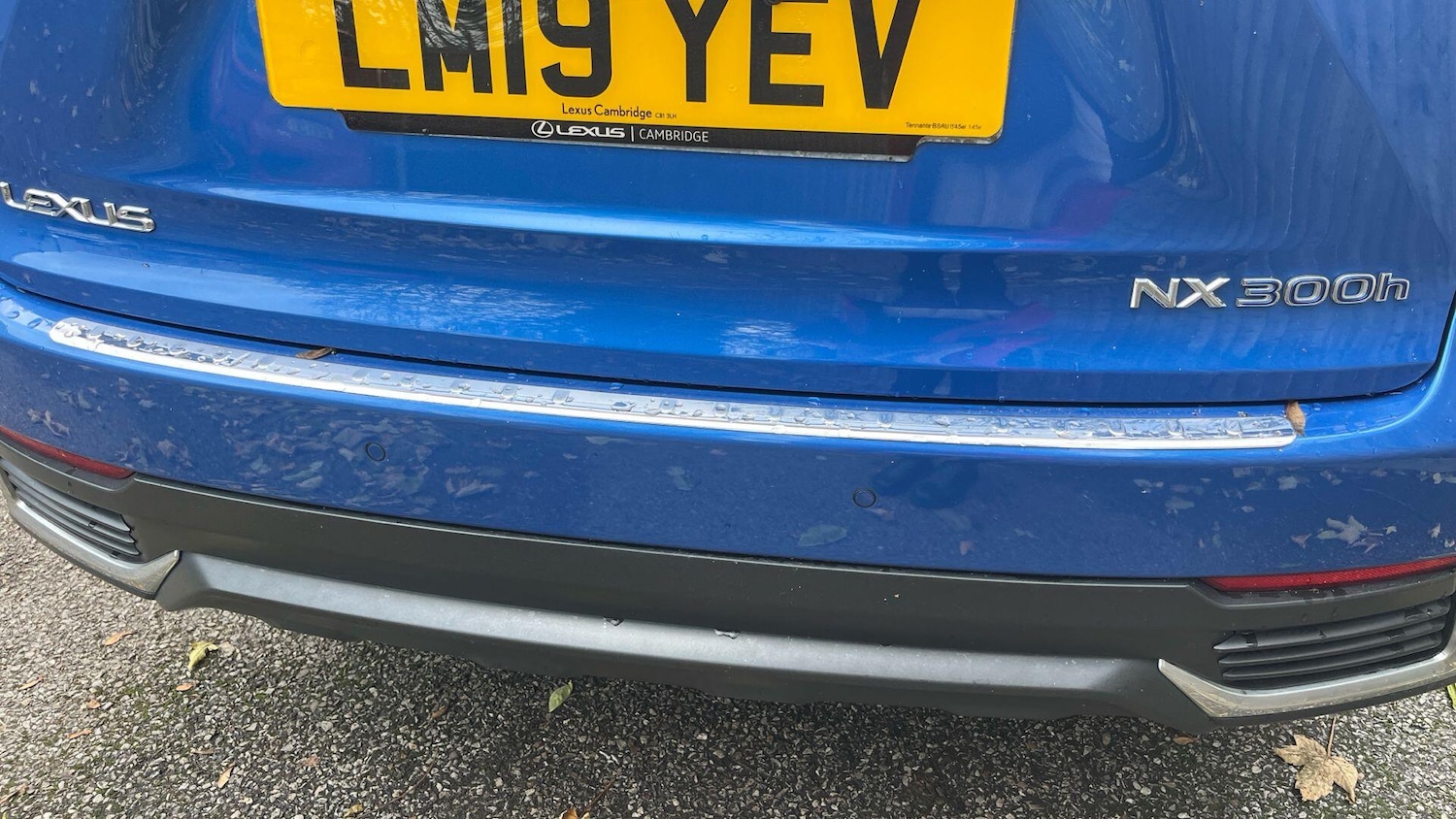 Used Lexus NX 2019 for sale - 76472092: Photo 32