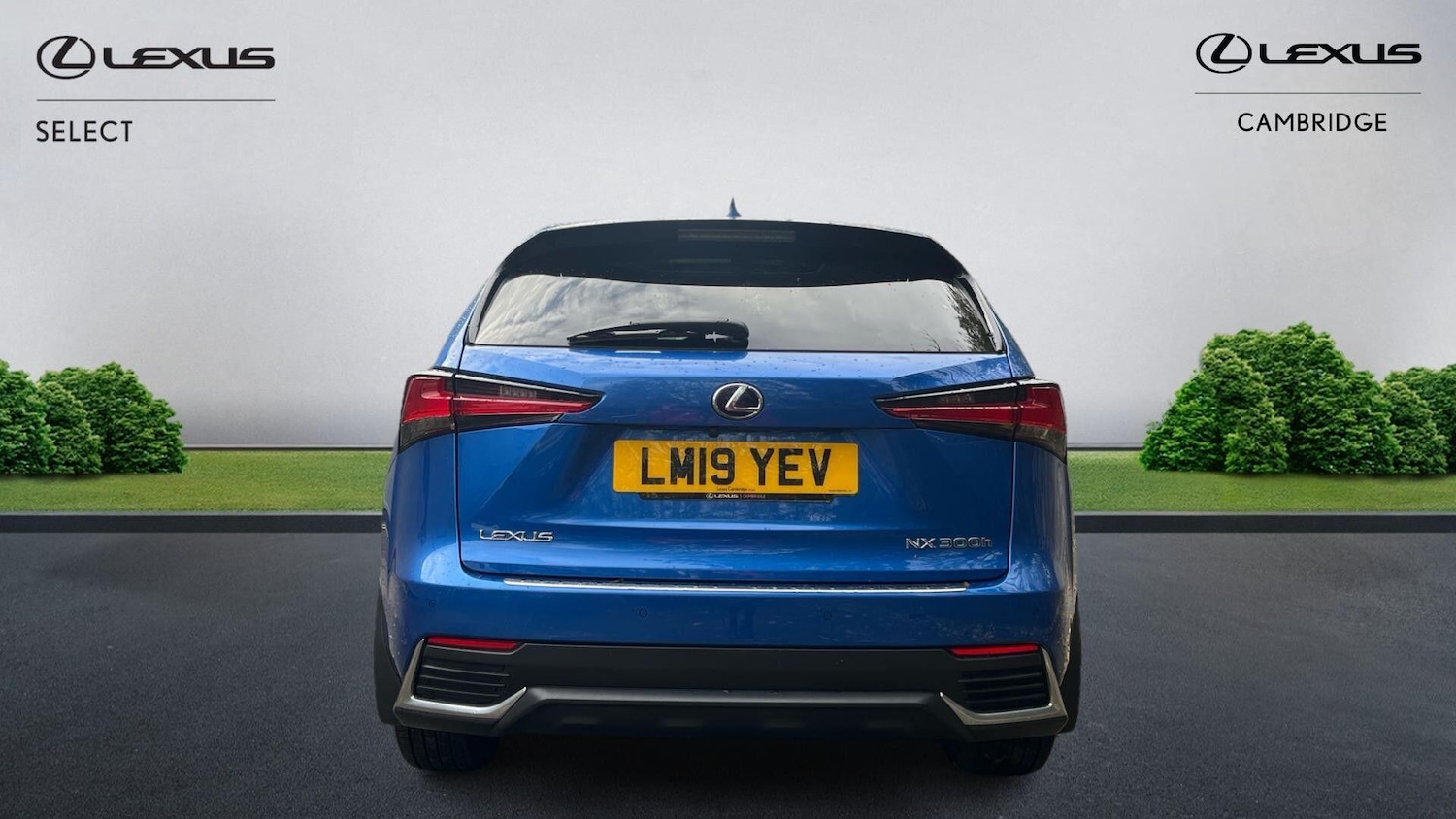 Used Lexus NX 2019 for sale - 76472092: Photo 8