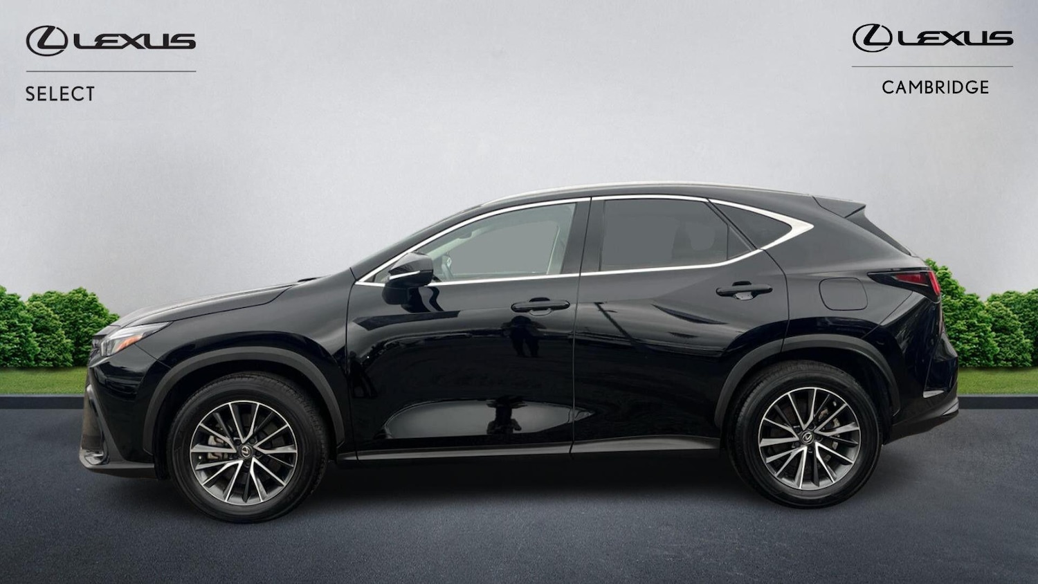 Used Lexus NX 2023 for sale - 77496689: Photo 7
