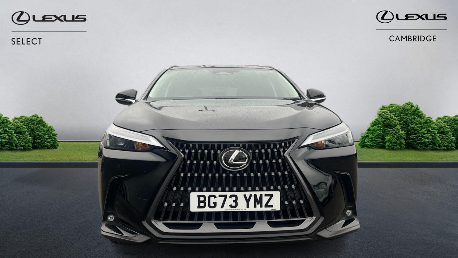 Used Lexus NX 2023 for sale - 77496689: Photo 8