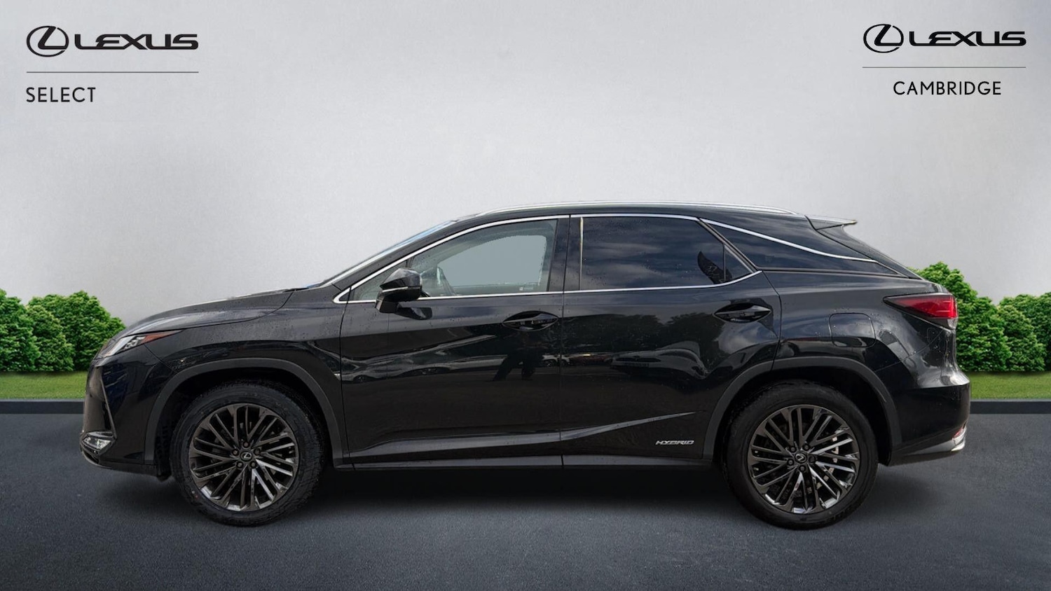 Used Lexus RX 2022 for sale - 76251101: Photo 3