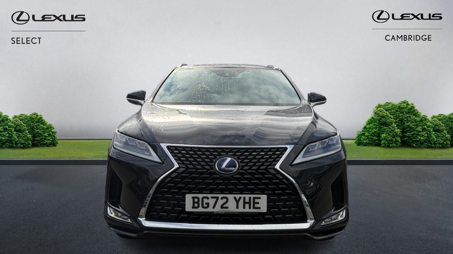 Used Lexus RX 2022 for sale - 76251101: Photo 7