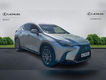 Used Lexus NX 2025 for sale - 78318531: Photo