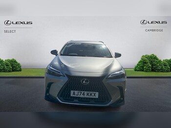 Used Lexus NX 2025 for sale - 78318531: Photo