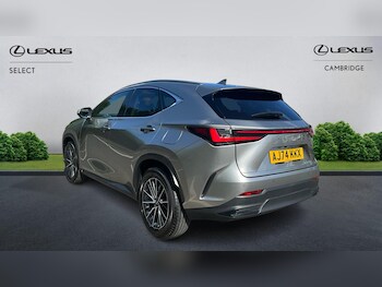 Used Lexus NX 2025 for sale - 78318531: Photo