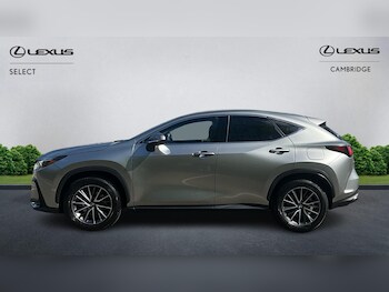 Used Lexus NX 2025 for sale - 78318531: Photo