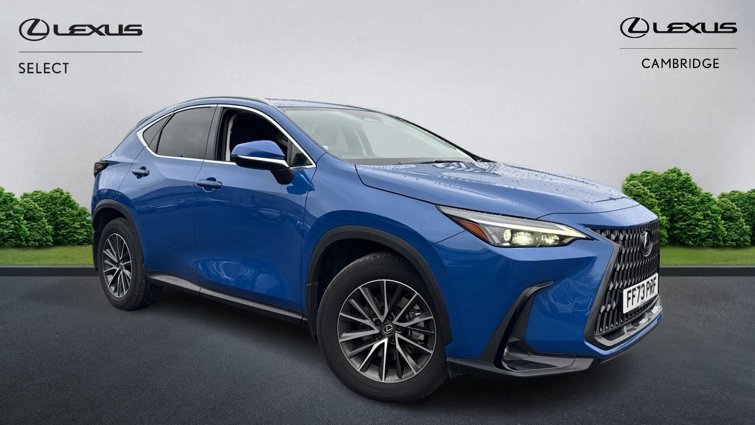 Used Lexus NX 2023 for sale - 77039879: Photo 1
