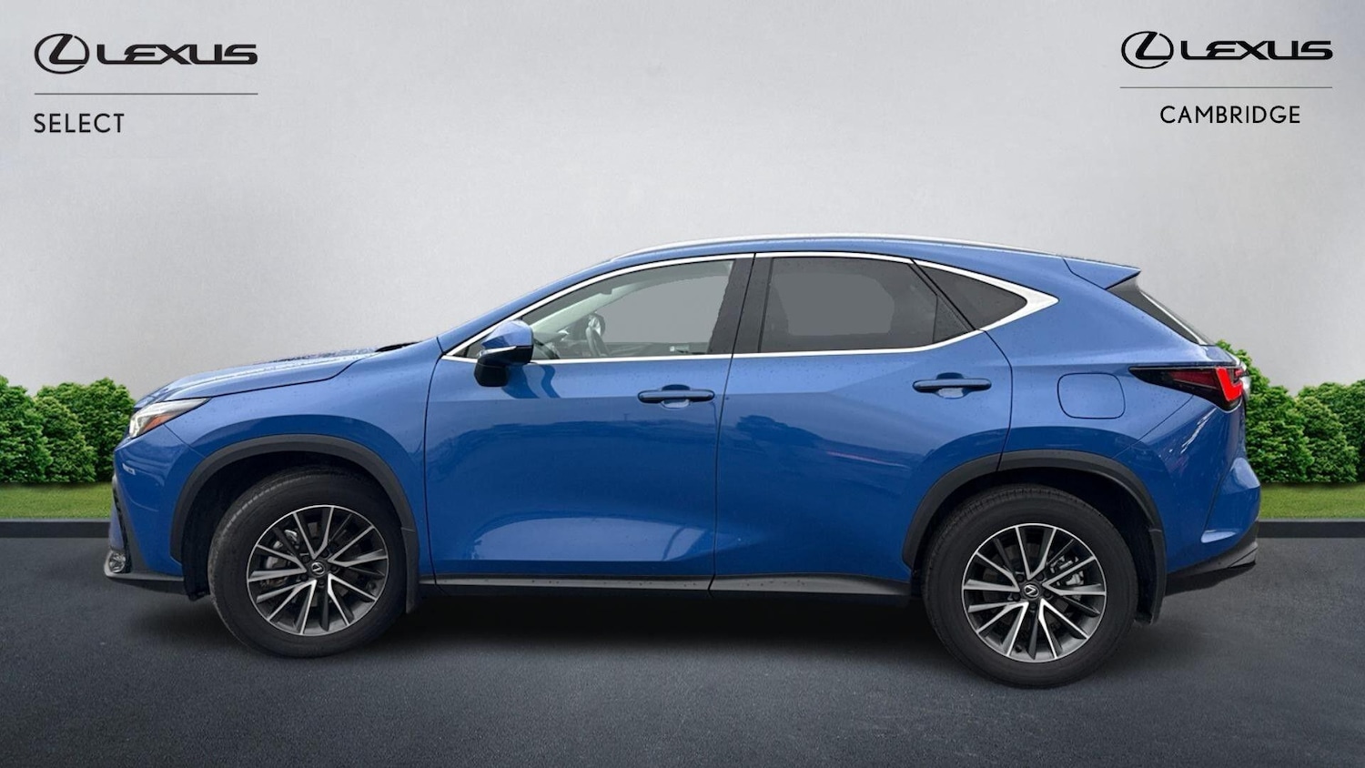 Used Lexus NX 2023 for sale - 77039879: Photo 3