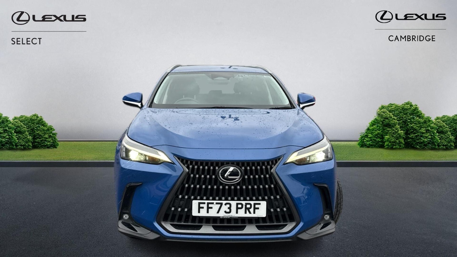 Used Lexus NX 2023 for sale - 77039879: Photo 7