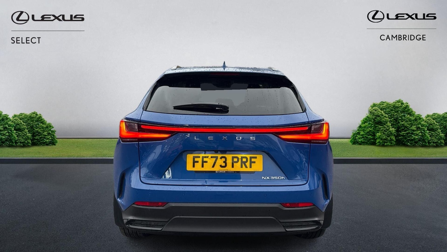 Used Lexus NX 2023 for sale - 77039879: Photo 8