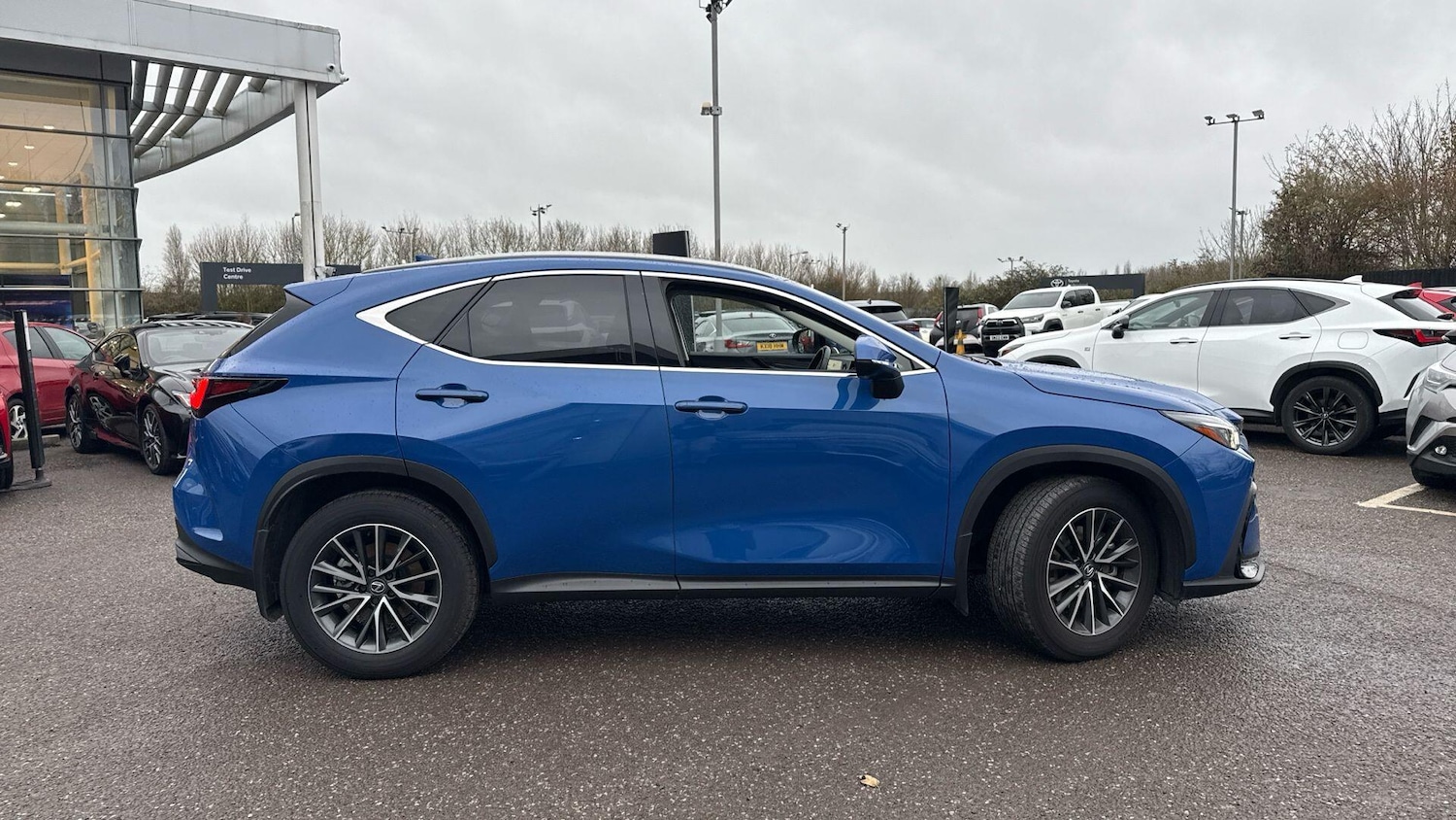 Used Lexus NX 2023 for sale - 77039879: Photo 9