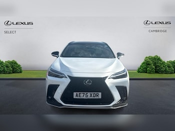 Used Lexus NX 2025 for sale - 79576860: Photo