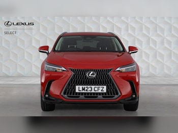 Used Lexus NX 2023 for sale - 79026366: Photo
