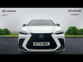 Used Lexus NX 2024 for sale - 74700043: Photo
