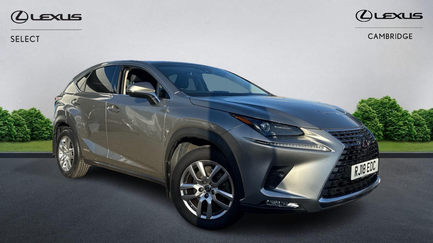 Used Lexus NX 2018 for sale - 76388423: Photo 1