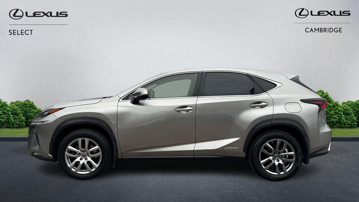 Used Lexus NX 2018 for sale - 76388423: Photo 3