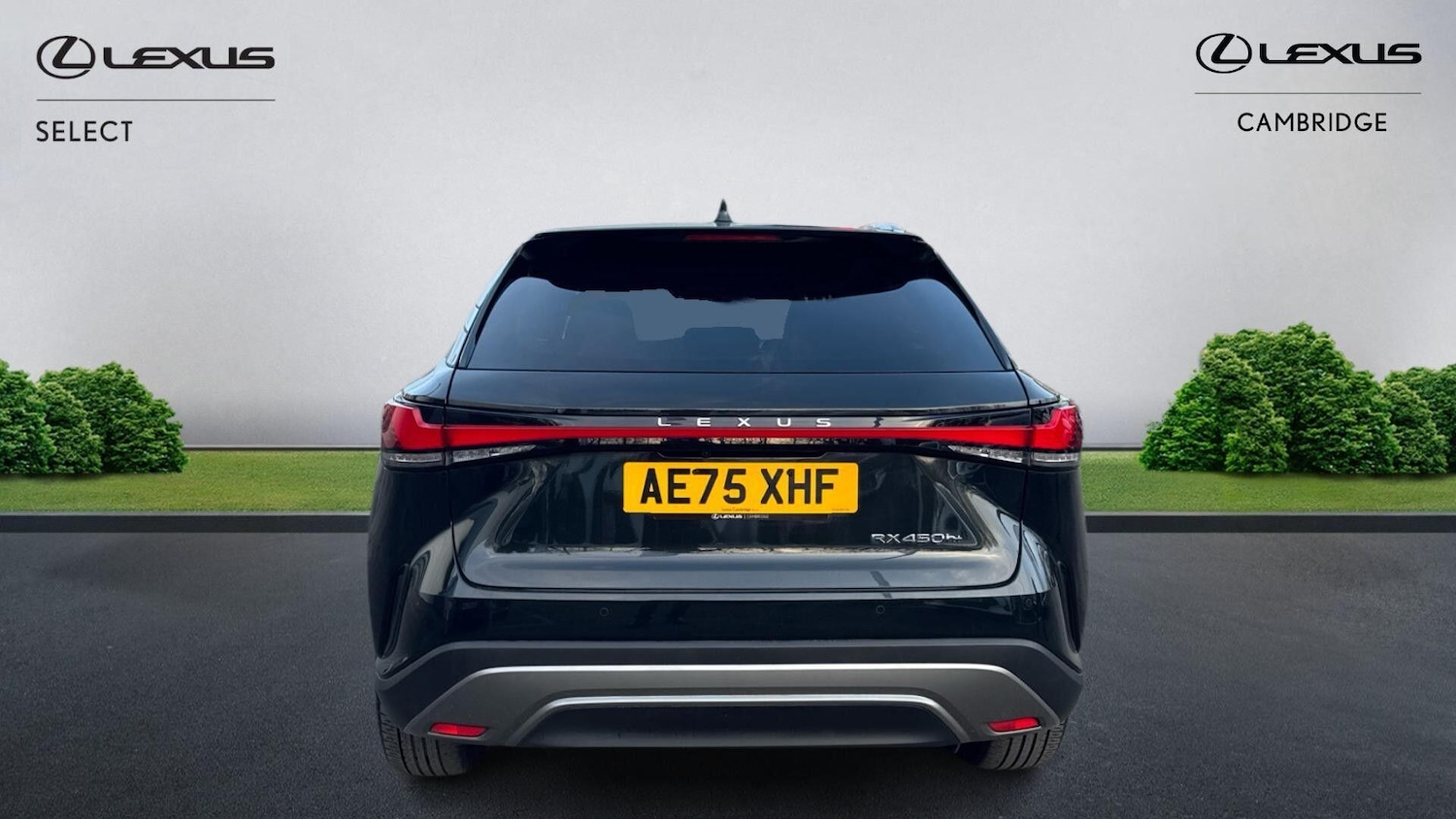 Used Lexus RX 2025 for sale - 77376718: Photo 8