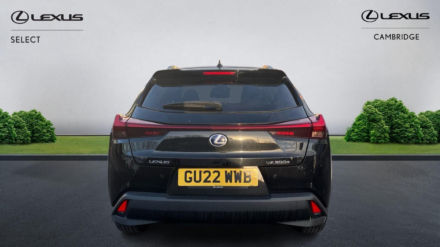 Used Lexus UX 2022 for sale - 77175869: Photo 8