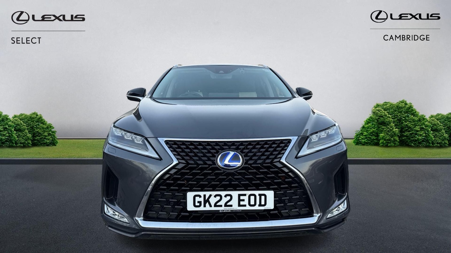 Used Lexus RX 2022 for sale - 77509644: Photo 7