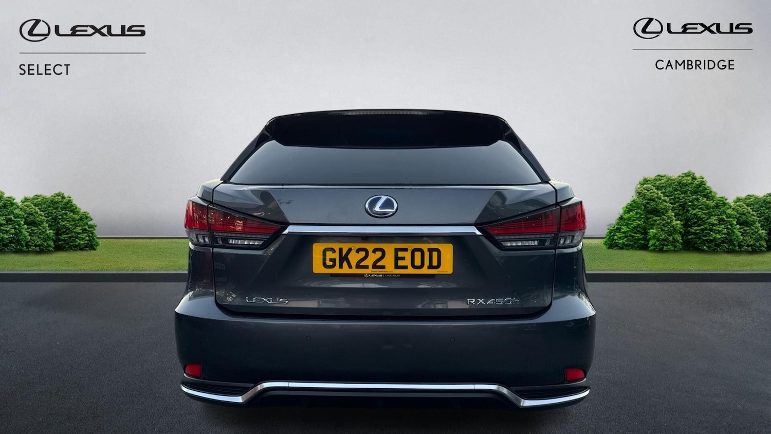 Used Lexus RX 2022 for sale - 77509644: Photo 8