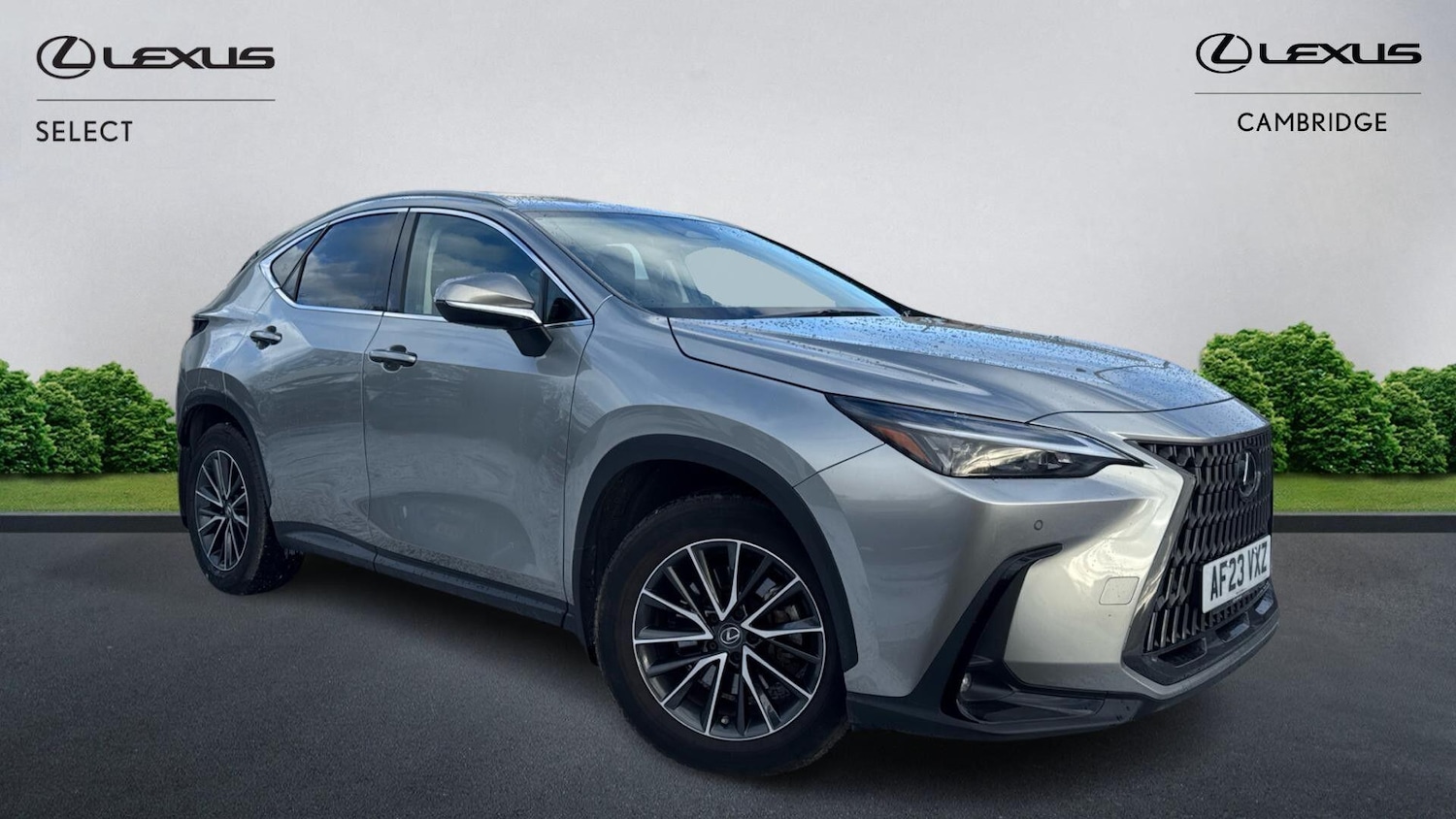 Used Lexus NX 2023 for sale - 77091025: Photo 1