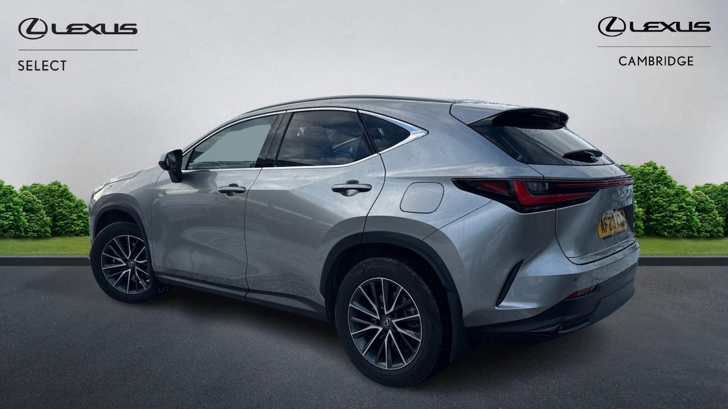 Used Lexus NX 2023 for sale - 77091025: Photo 2