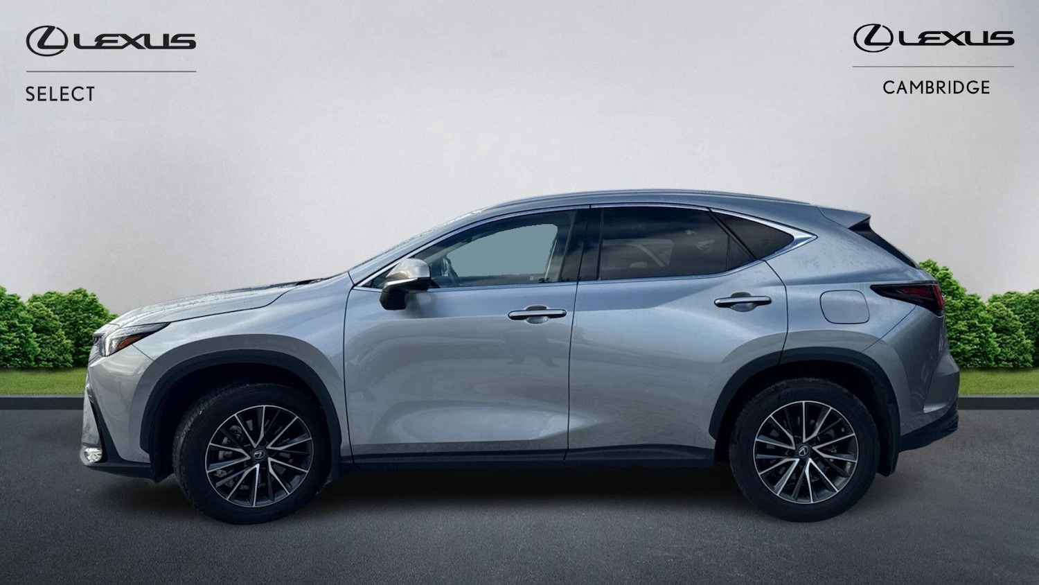 Used Lexus NX 2023 for sale - 77091025: Photo 3