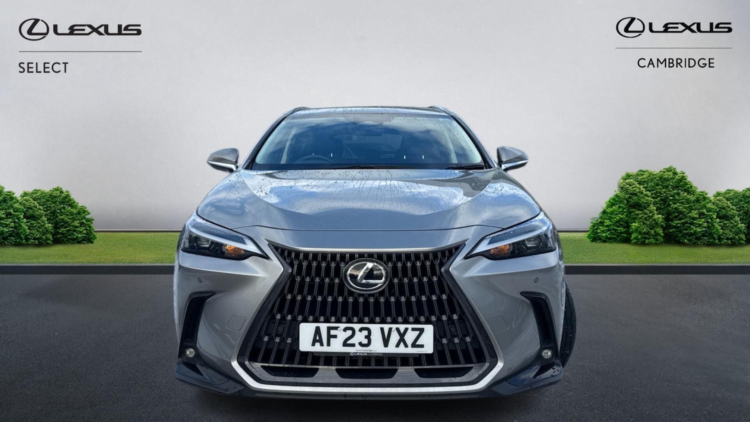 Used Lexus NX 2023 for sale - 77091025: Photo 4