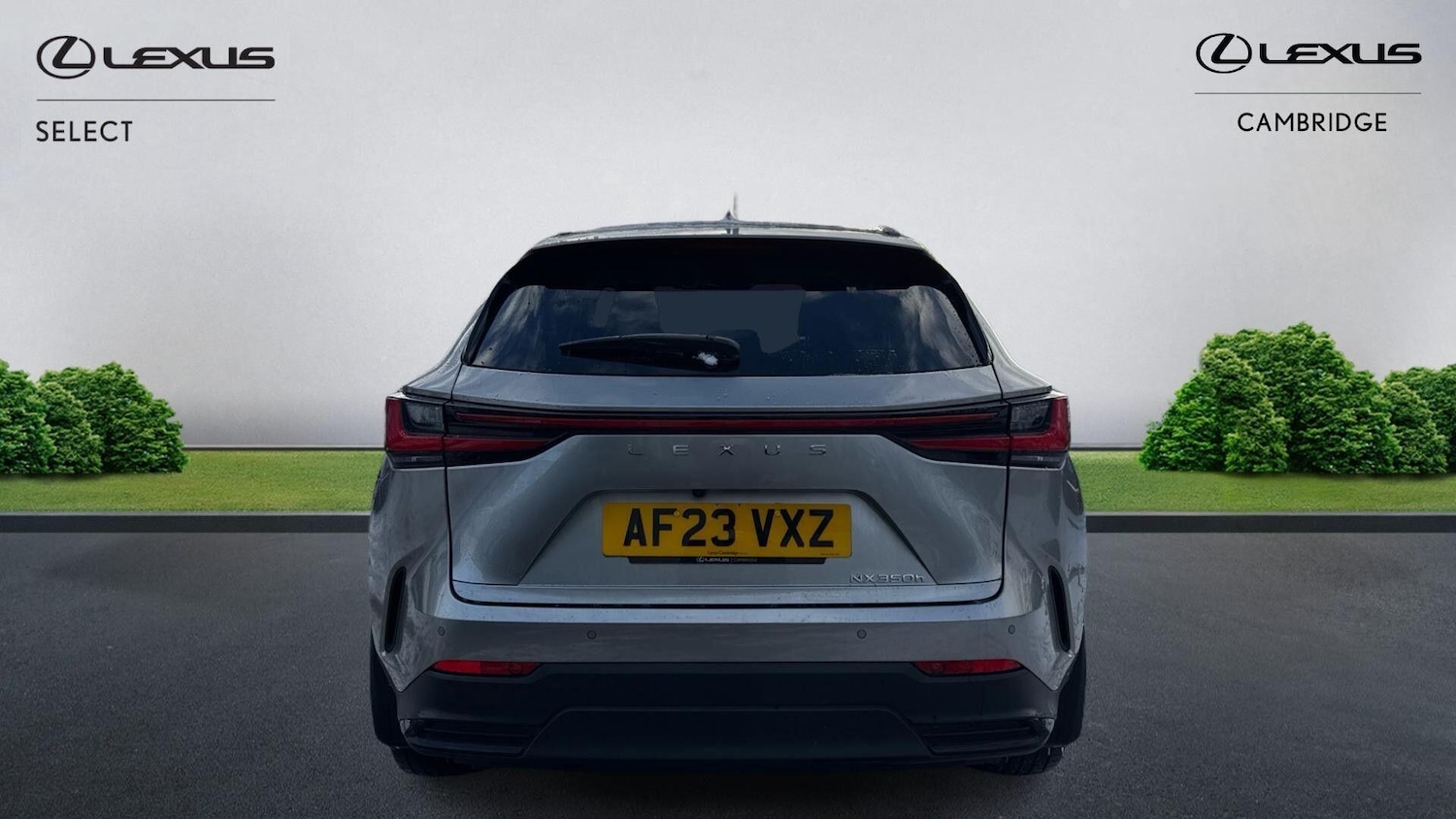 Used Lexus NX 2023 for sale - 77091025: Photo 8