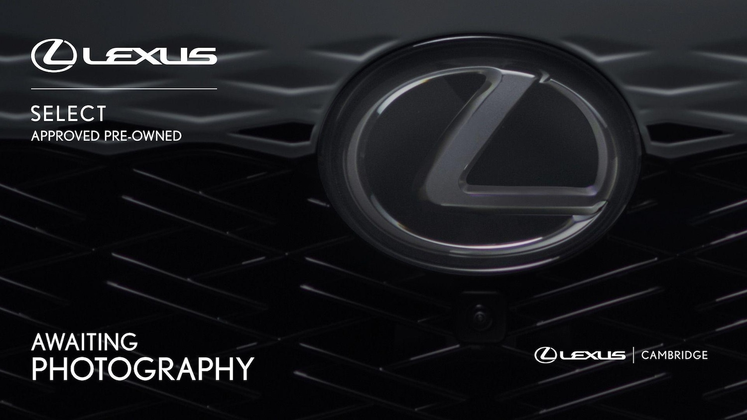 Used Lexus RX 2019 for sale - 76072473: Photo 1