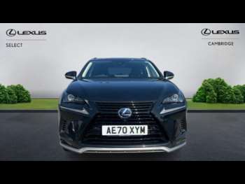 Used Lexus NX 2020 for sale - 75040599: Photo