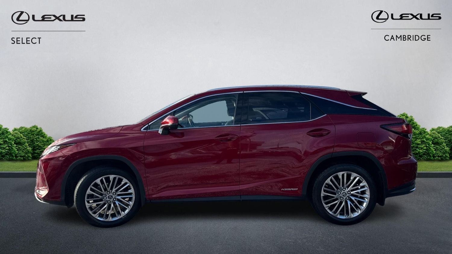 Used Lexus RX 2020 for sale - 77097590: Photo 4