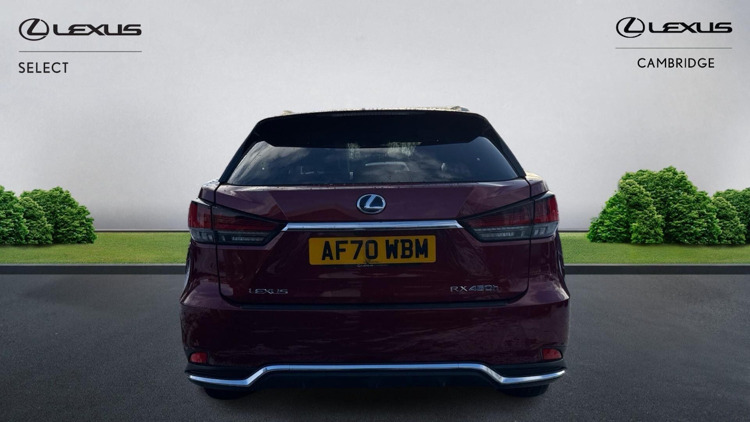 Used Lexus RX 2020 for sale - 77097590: Photo 8