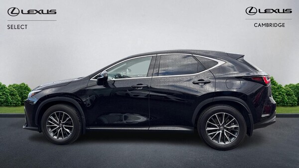 Used Lexus NX 2023 for sale - 76250983: Photo 4