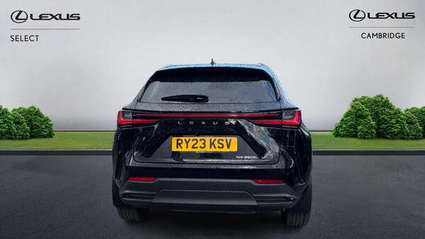 Used Lexus NX 2023 for sale - 76250983: Photo 8