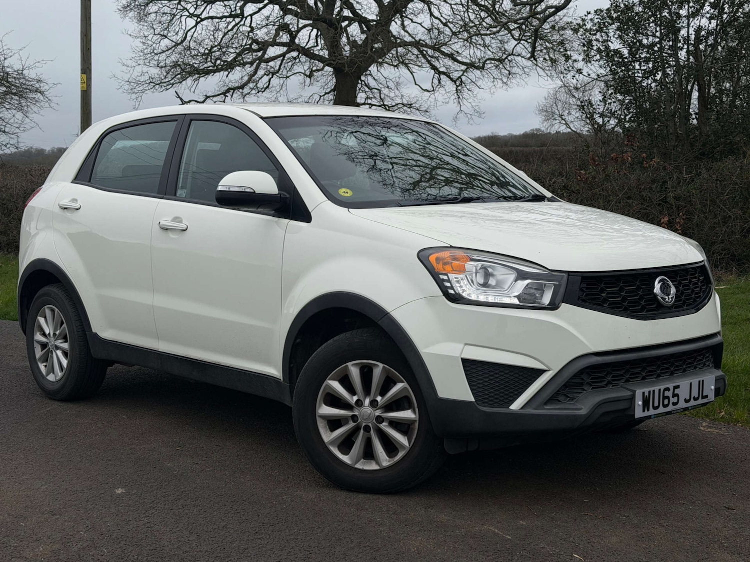 Used Ssangyong Korando 2015 for sale - 77937216: Photo 16