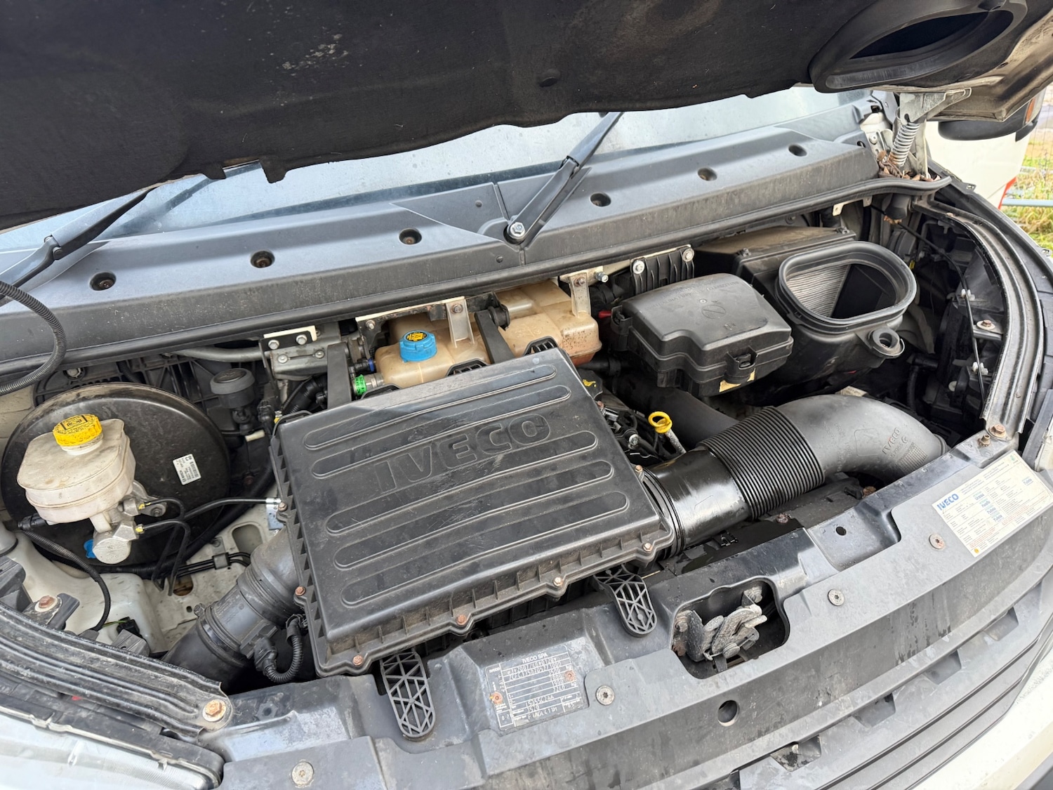 Used Iveco Daily 2019 for sale - 76855513: Photo 14