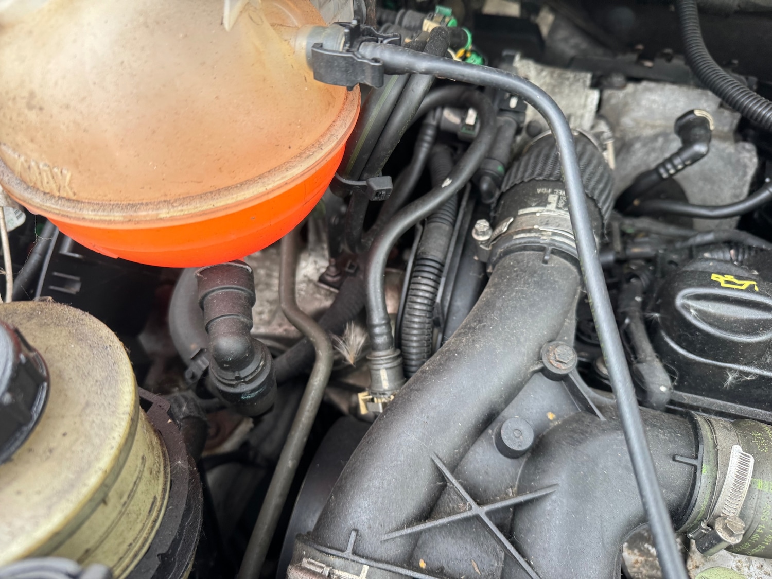 Used Peugeot Expert 2013 for sale - 77537103: Photo 8