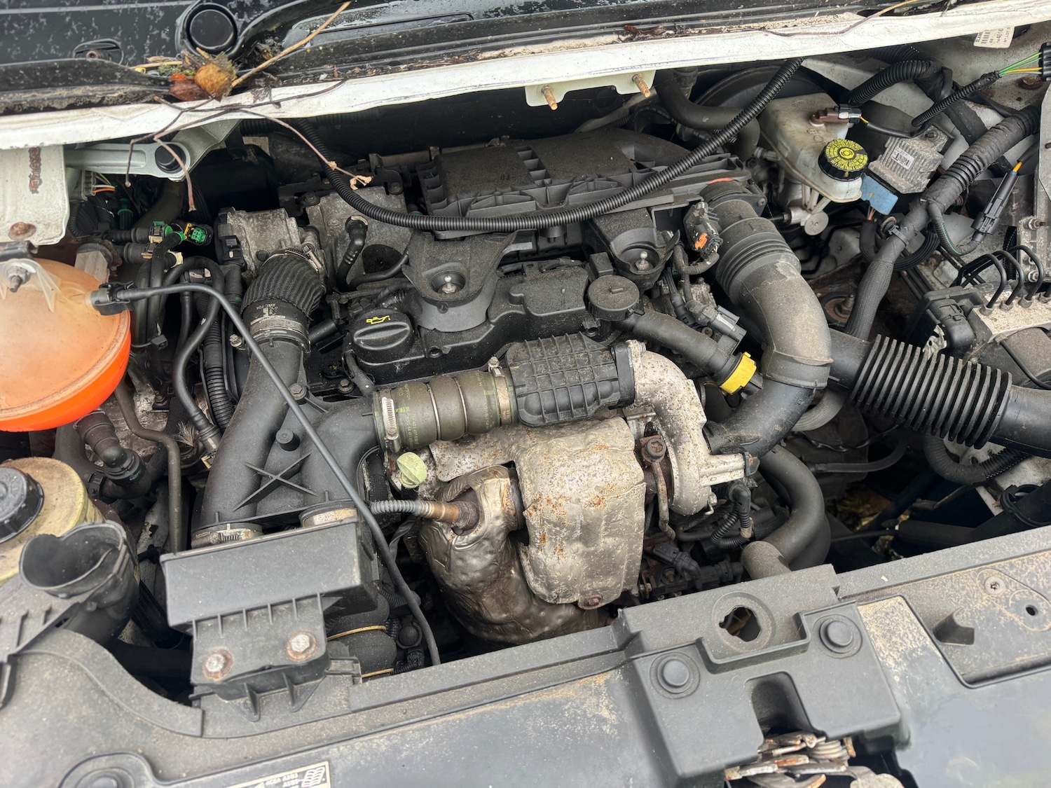 Used Peugeot Expert 2013 for sale - 77537103: Photo 9