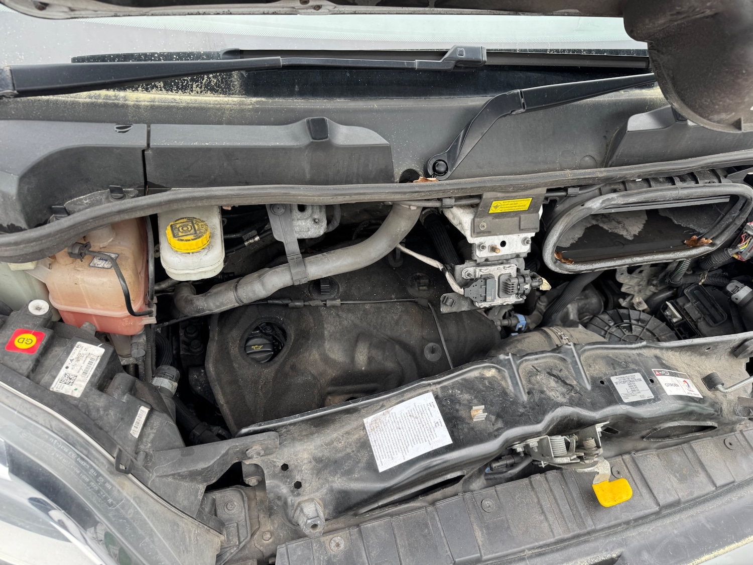 Used Citroen Relay 2022 for sale - 78128286: Photo 11