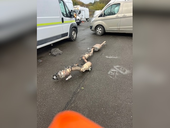 Used Volkswagen Crafter undefined for sale - 76347413: Photo