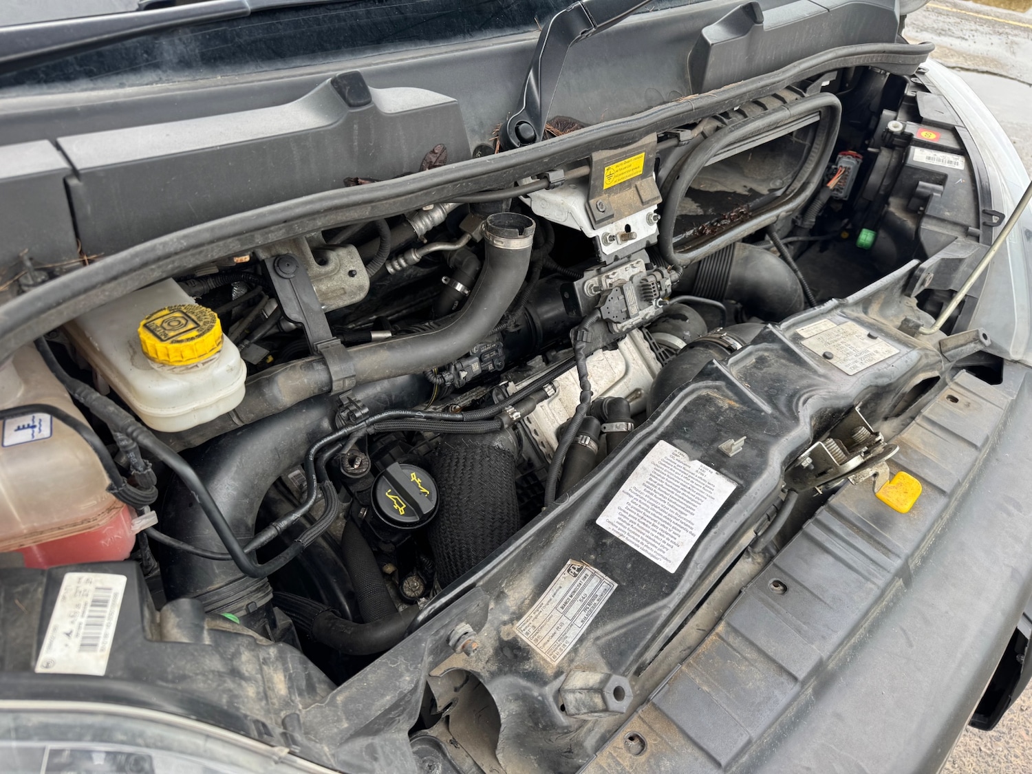 Used Fiat Ducato 2021 for sale - 77767934: Photo 11