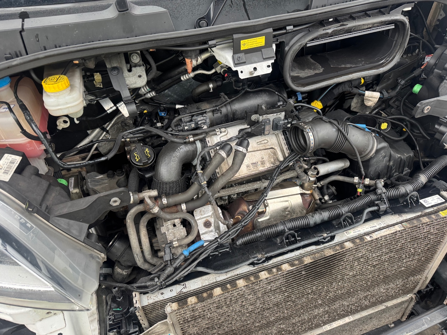 Used Fiat Ducato 2022 for sale - 77508953: Photo 5