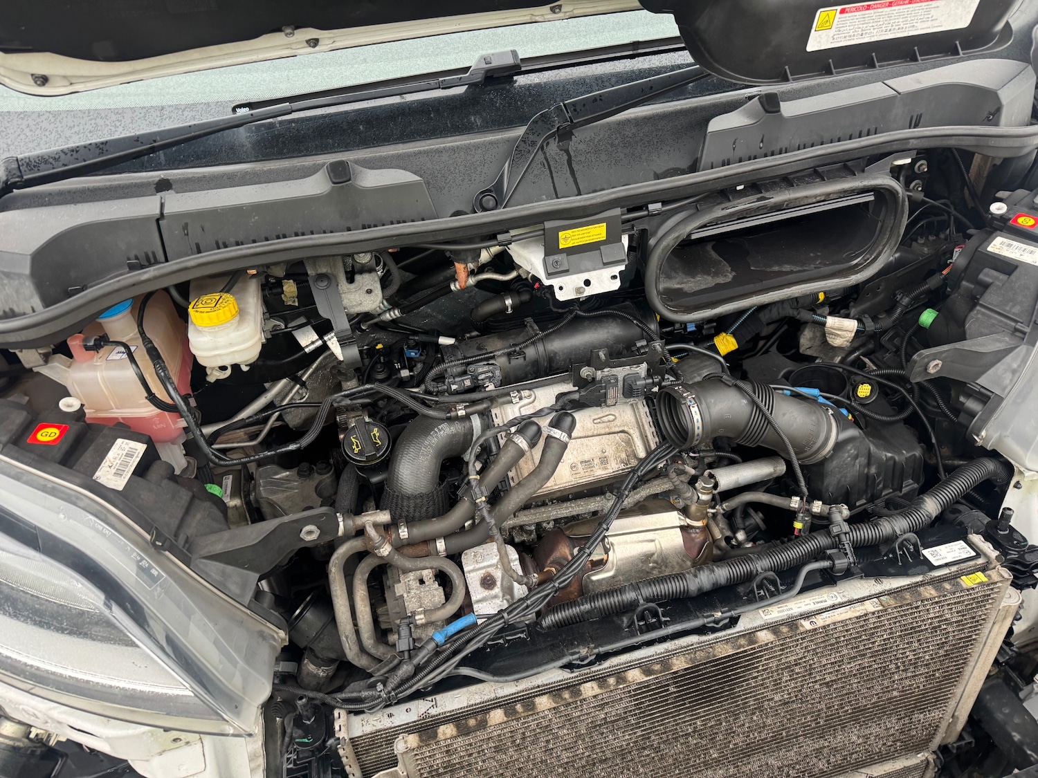 Used Fiat Ducato 2022 for sale - 77508953: Photo 6