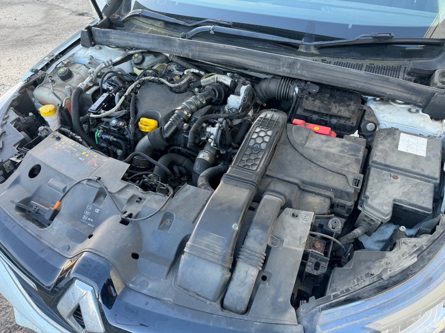 Used Renault Megane 2019 for sale - 78139493: Photo 11