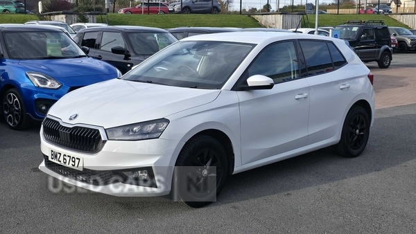Used Skoda Fabia 2023 for sale - 77684742: Photo 3